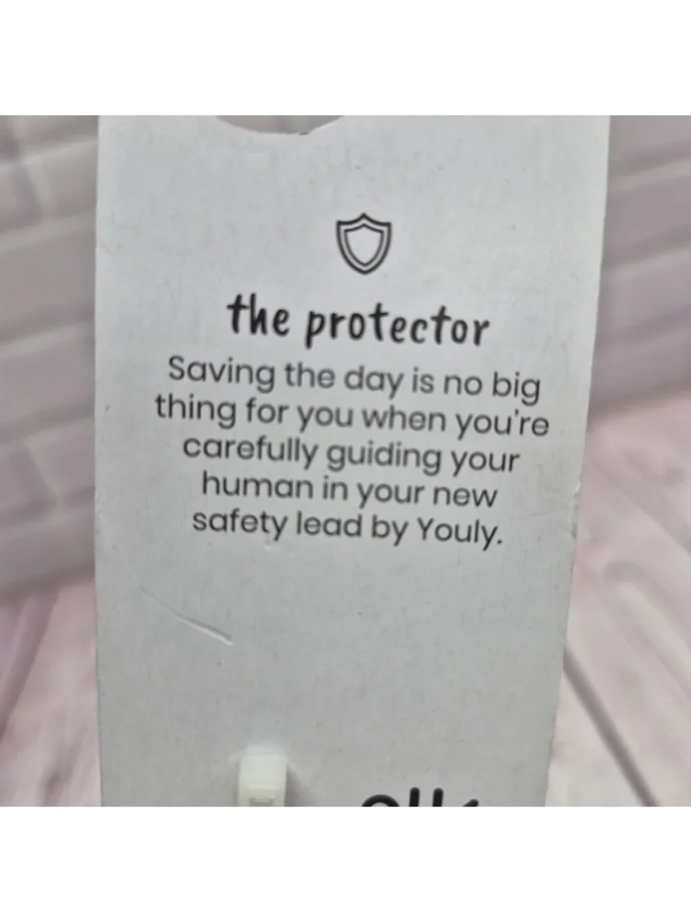 YOULY‎ The Protector Lead Rope Reflective Dog Leash, Blue, Padded Handle 6 ft.
